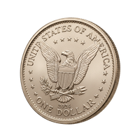Nickel Coin